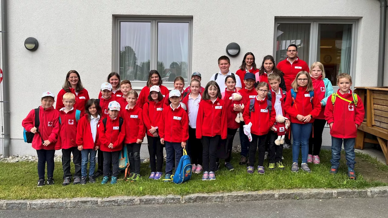 Gleich Bronze für die Waidhofner „Red Cross Sheep 1“