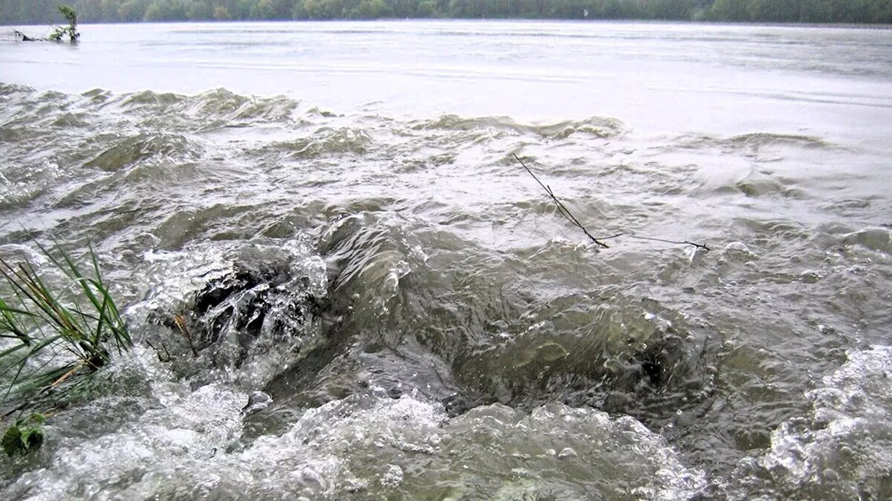 Hochwassergefahr im Nationalpark Donau-Auen