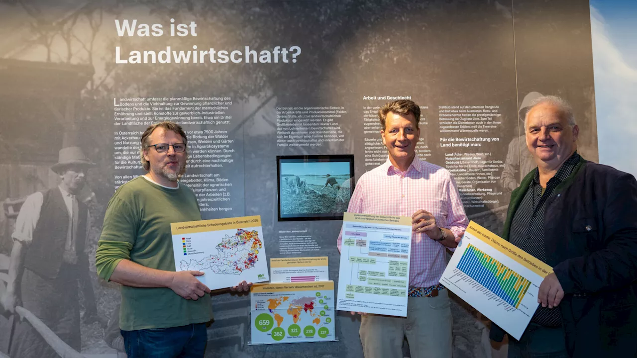 Was ist Landwirtschaft? Sonderführung durchs Horner Museum