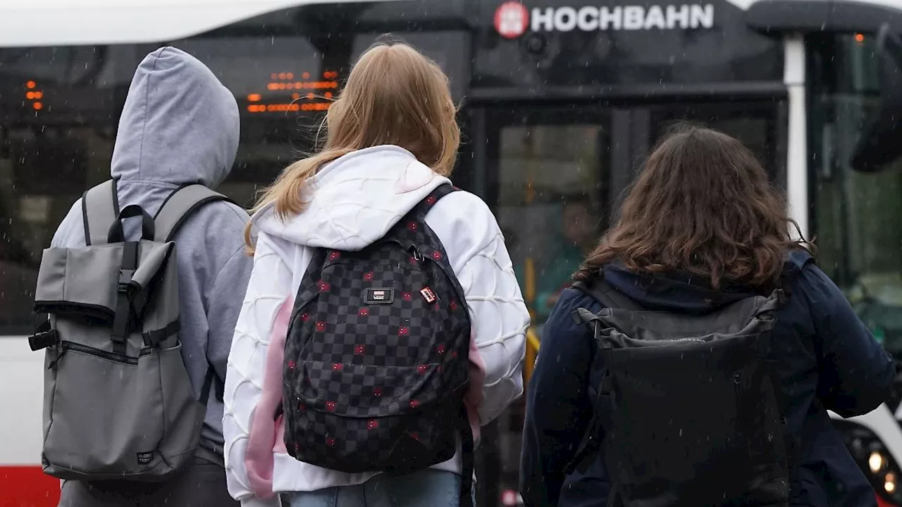 Hamburg & Schleswig-Holstein: Busbahnhof Harburg wird neu gebaut: Haltestellen verlegt