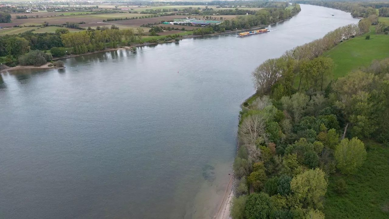 Nordrhein-Westfalen: Hochwasser auf dem Rhein - 'Keine kritischen Werte'