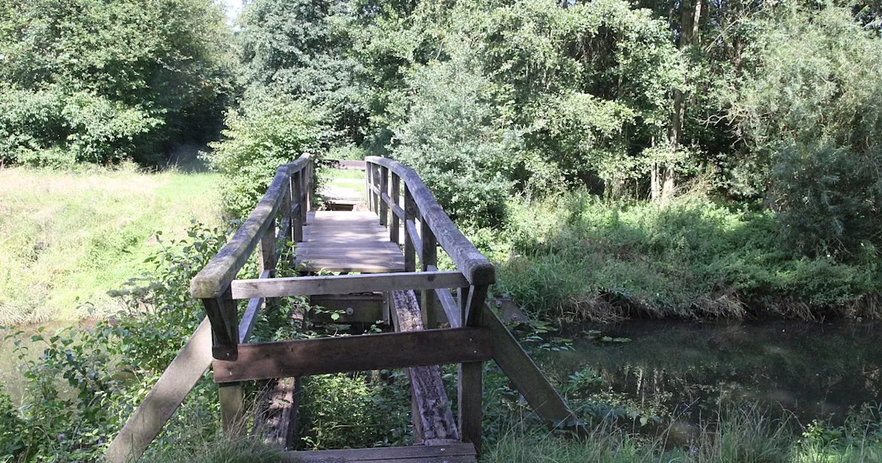 Als Bürgerprojekt: Neue Brücke über Große Aue in Espelkamp