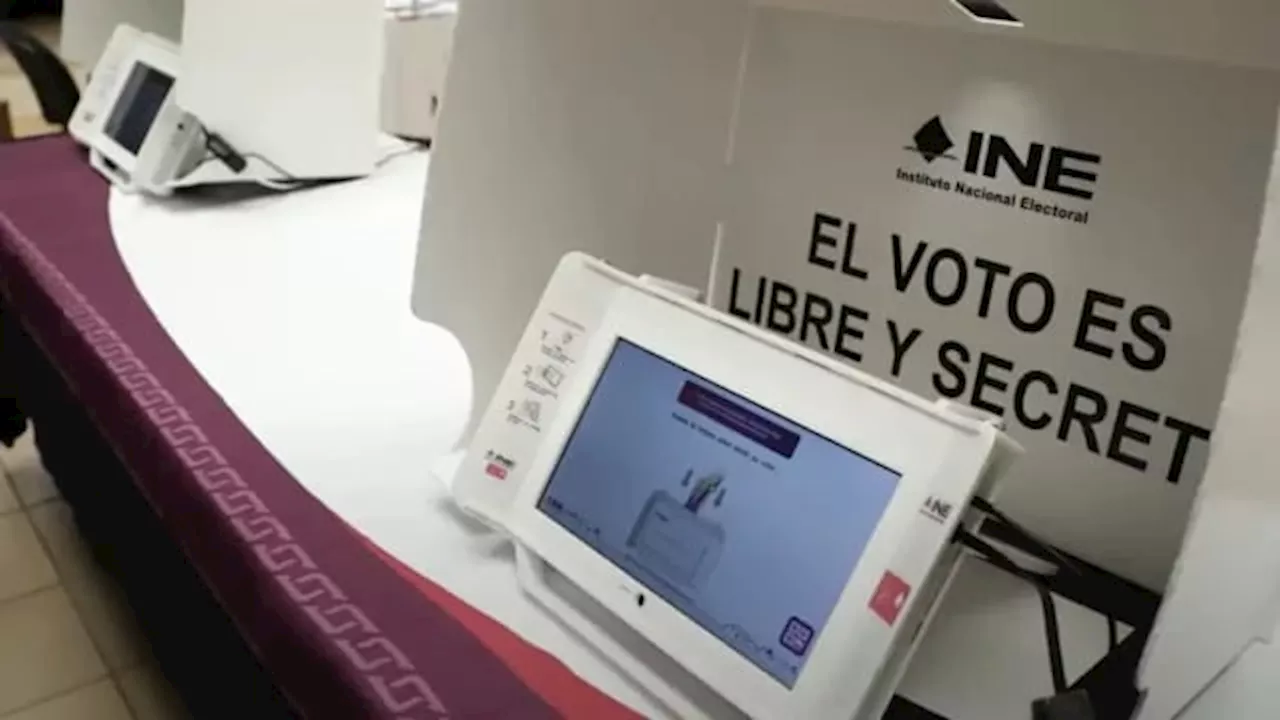 ¿Cómo fue el voto migrante en estas Elecciones 2024?