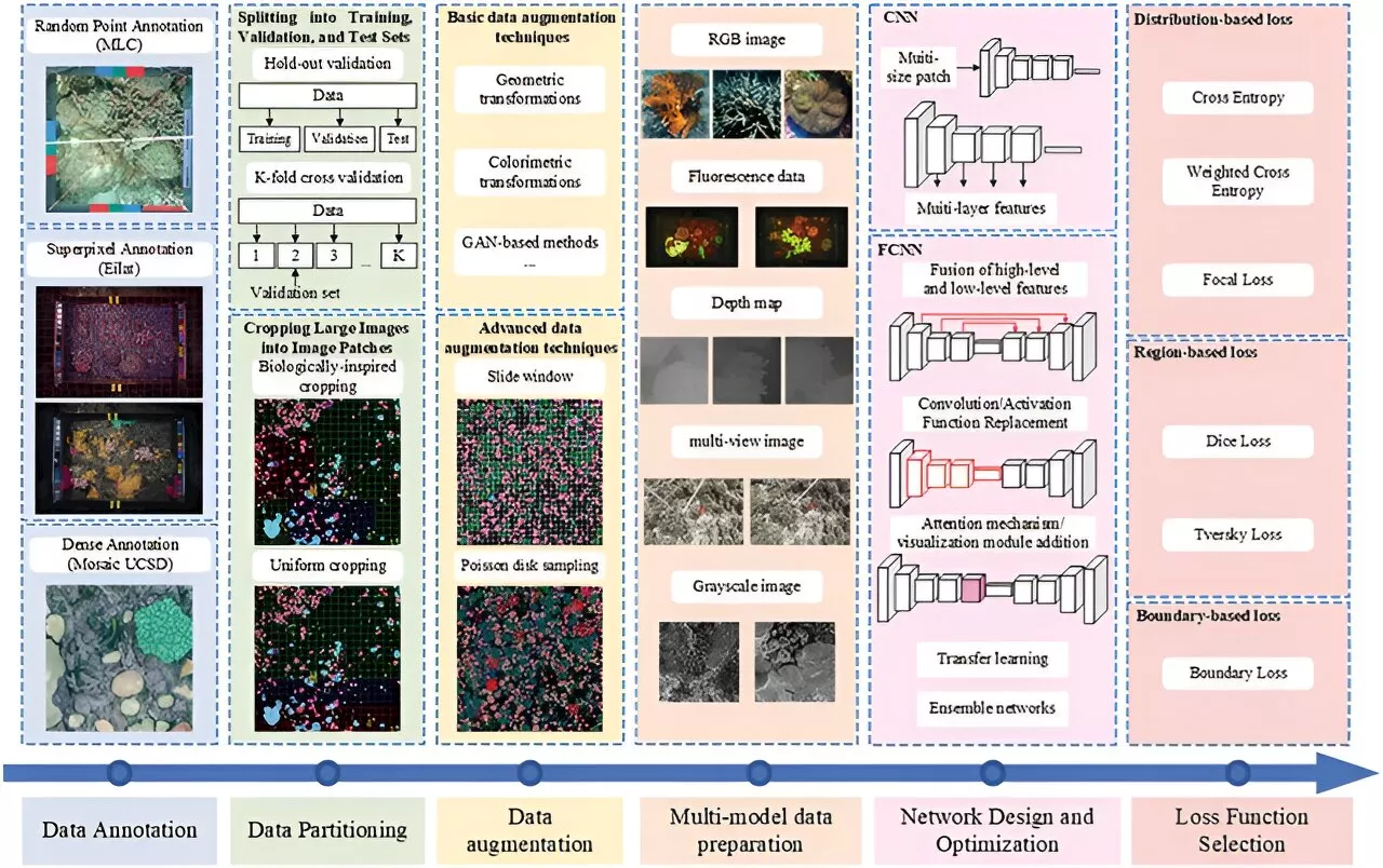 AI goes underwater: Transforming coral reef conservation with cutting-edge image analysis