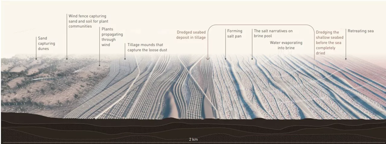 Researcher introduces strategies to sustain aesthetics and performance in anthropogenic landscapes