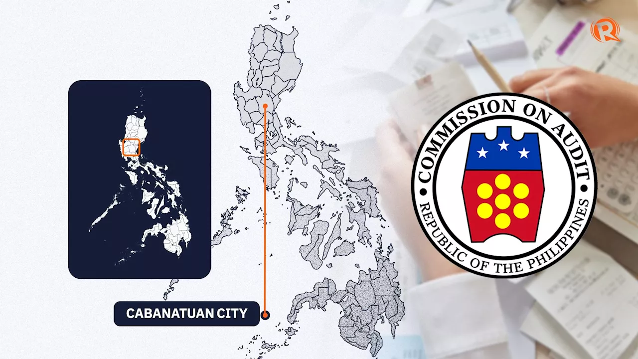 Cabanatuan City to recheck tax records after businesses understated papers