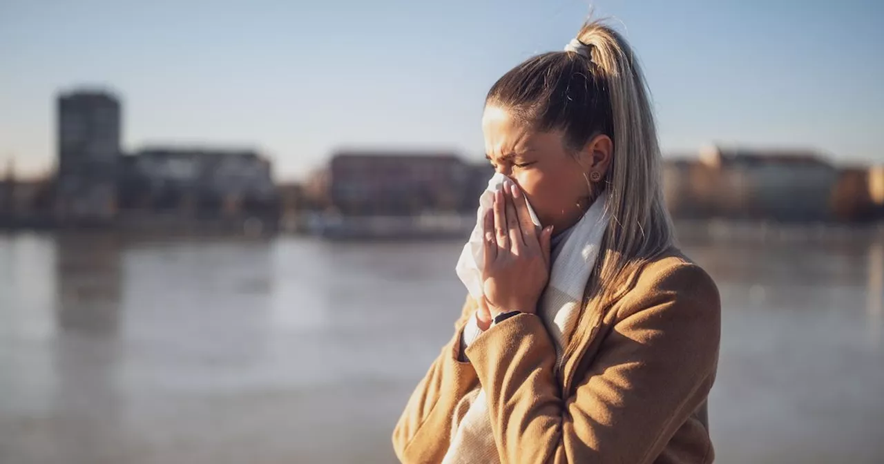 Avoid Mediterranean countries from August if you suffer from hay fever