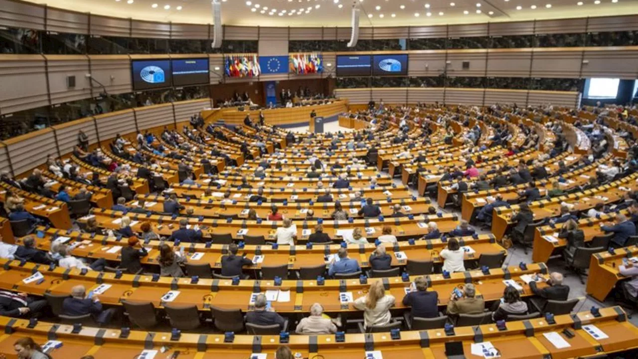 Fragen und Antworten: Europawahl: Wie viel Macht hat das EU-Parlament?