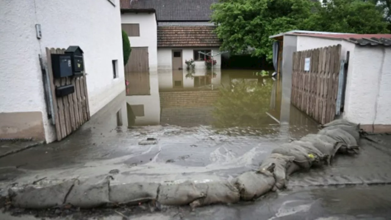 Hochwasser: FDP gegen Pflichtversicherung - Bundesregierung legt sich nicht fest