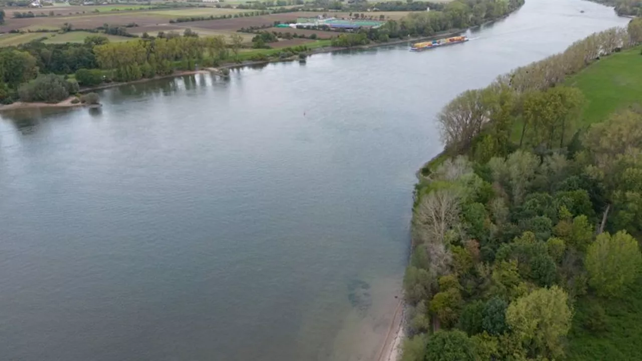 Kommunen: Hochwasser auf dem Rhein - 'Keine kritischen Werten'