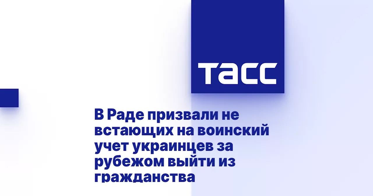 В Раде призвали не встающих на воинский учет украинцев за рубежом выйти из гражданства