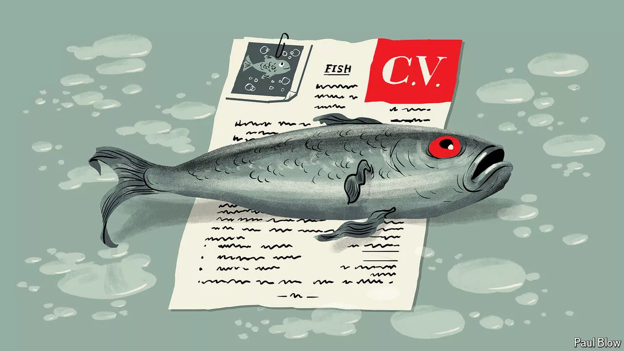 How to write the perfect CV