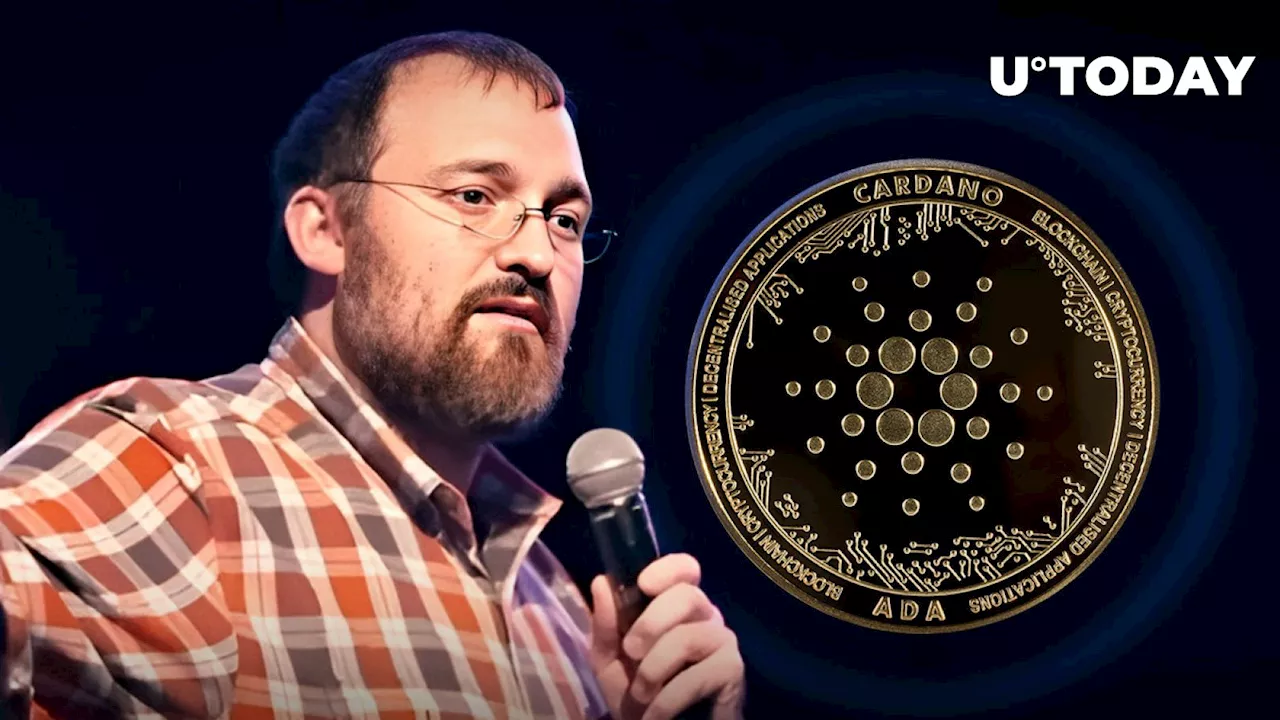 Cardano Founder on Scaling: 'Things Could Move Very Fast'