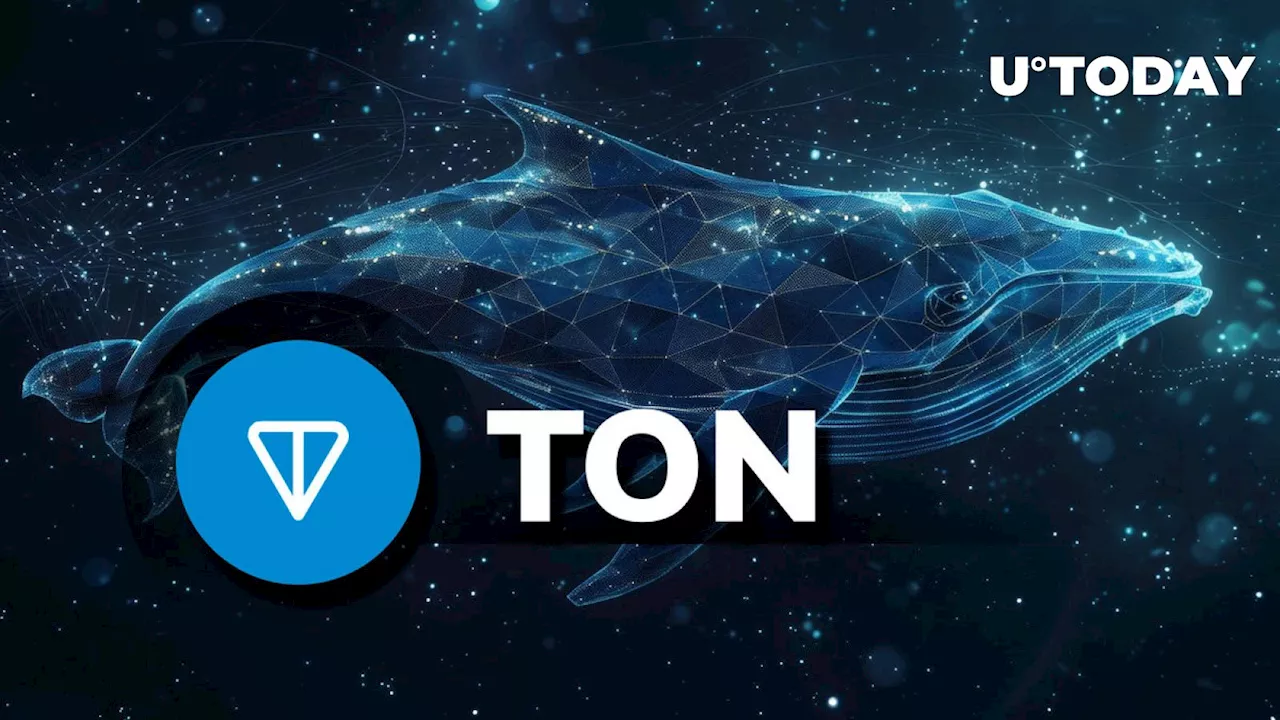 Toncoin (TON) Whale Activity Skyrockets 237% Ahead of Price Move