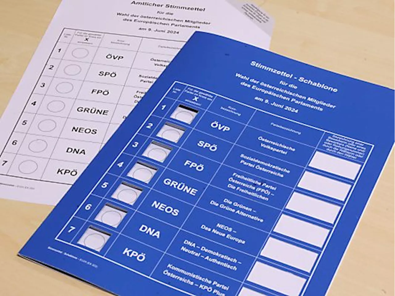 50 Prozent wollen 'sicher' zur EU-Wahl gehen