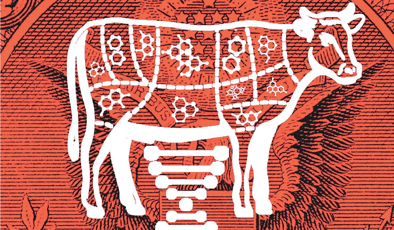 Lab-grown meat is a loser among Republicans, Democrats