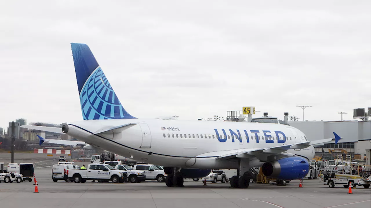 Around 25 passengers fall ill on United Airlines flight, most from same cruise