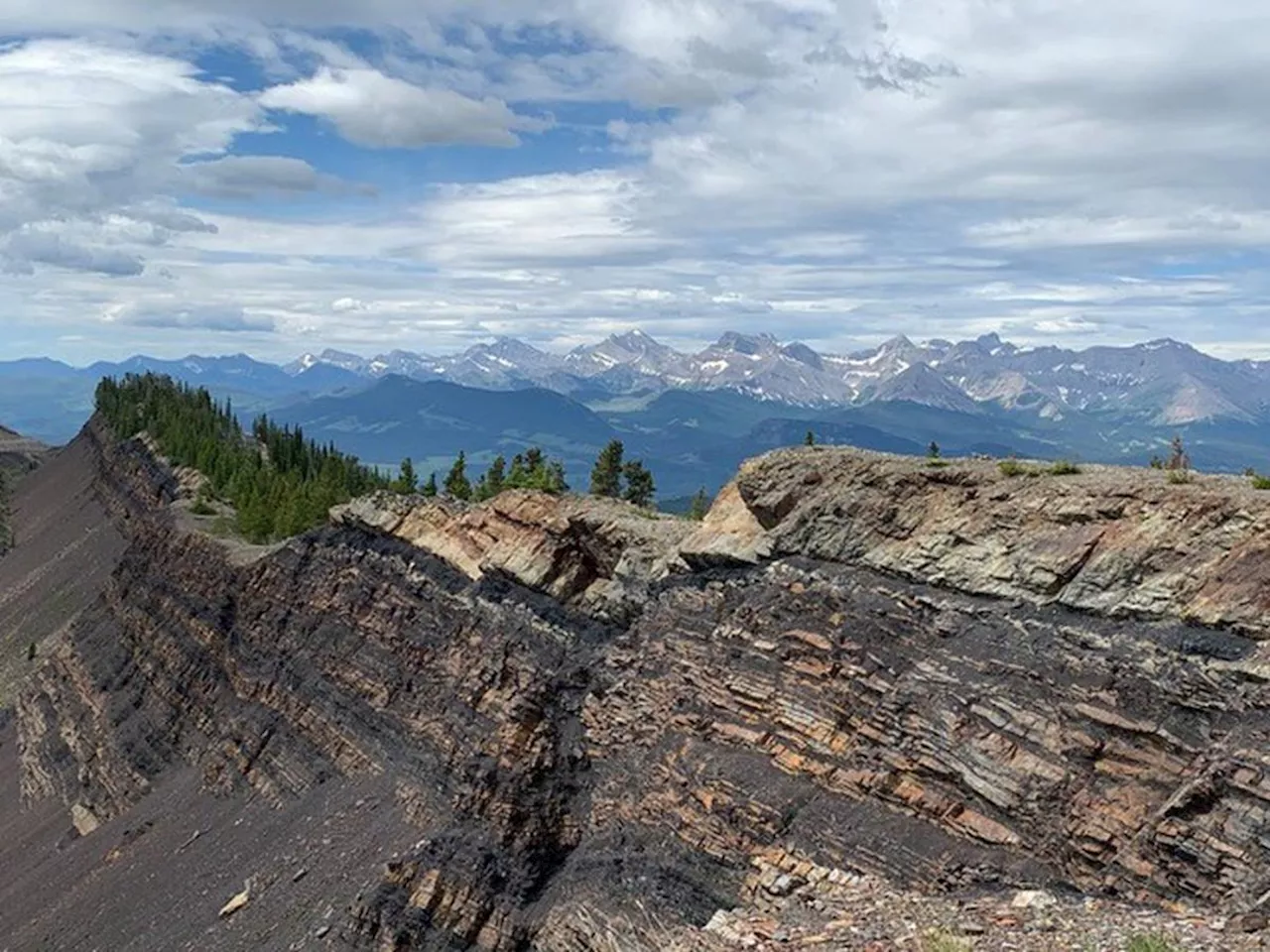 Alberta municipality appeals regulator's decision to accept coal exploration