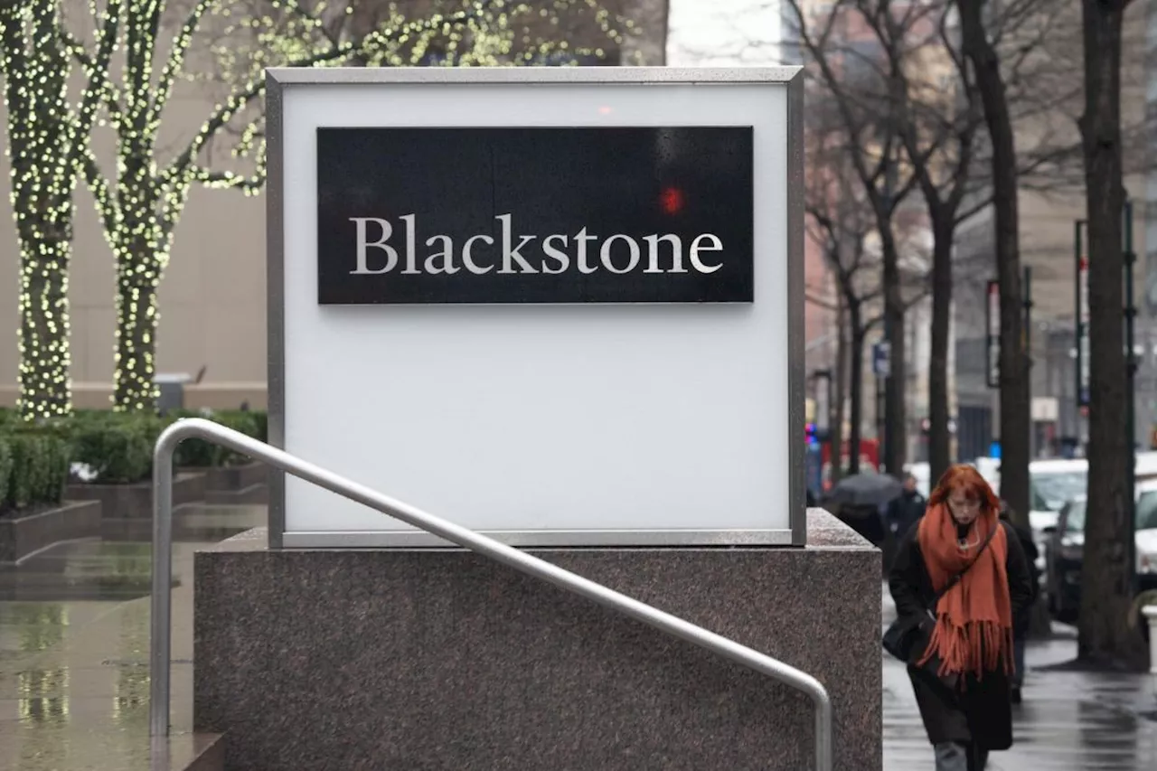 Blackstone Is Considering the Sale of Alinamin Pharmaceutical, Sources Say