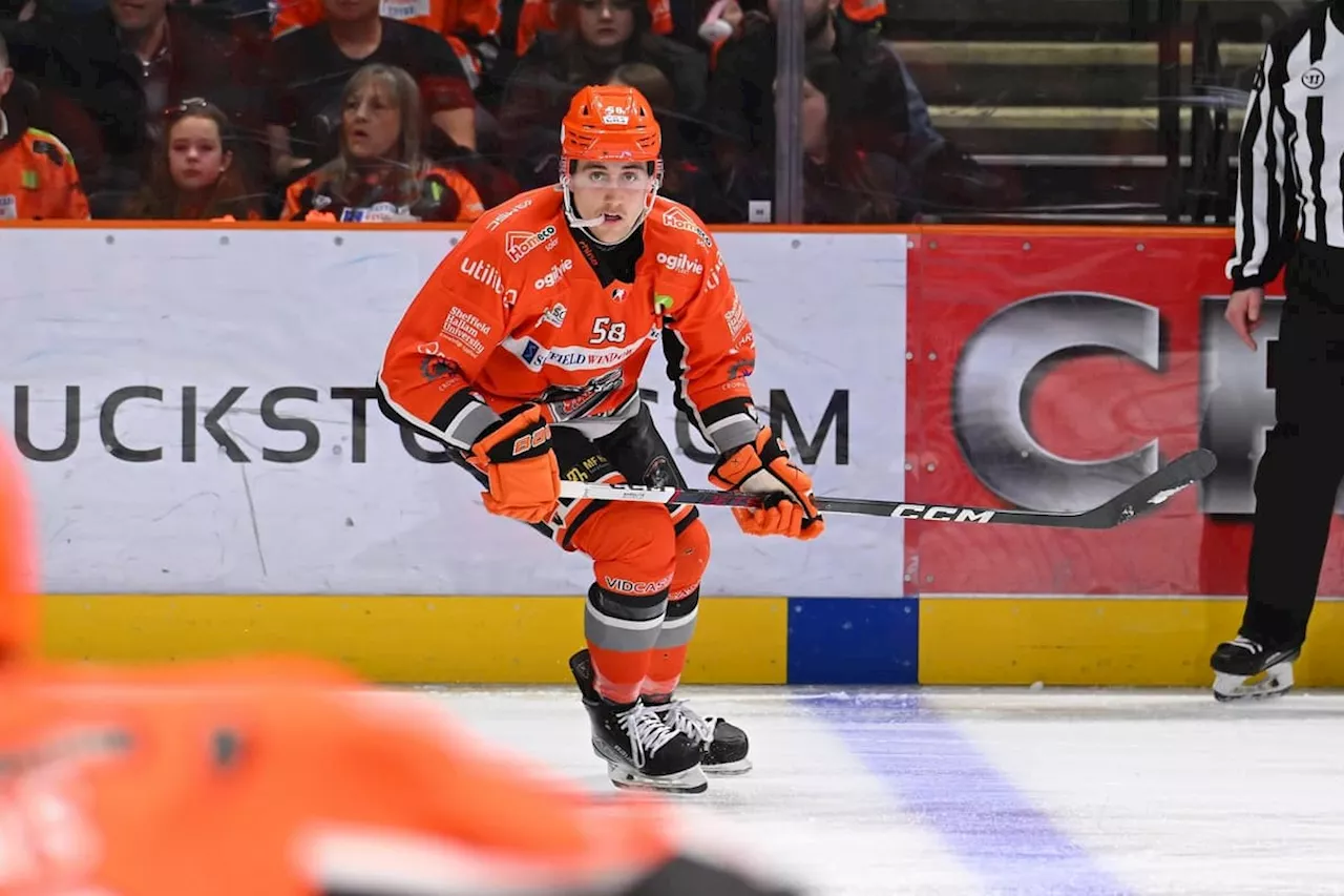 Sheffield Steelers boss Aaron Fox explains why Dominic Cormier is so crucial to 2024-25 plans