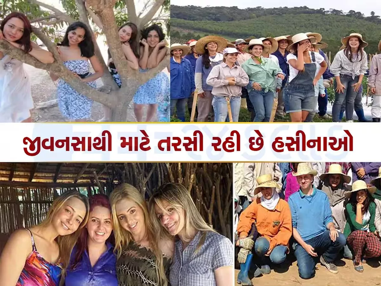 લ્યો બોલો અહીં પુરૂષો વિના એકલી તડપે છે મહિલા, પૈસા આપવા છતાં પરણવા તૈયાર નથી પુરૂષો