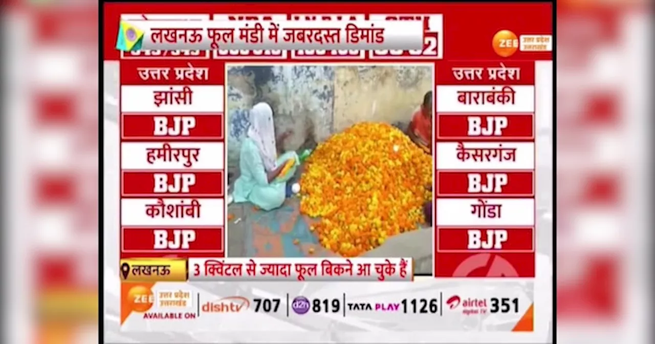 Lok Sabha Elections 2024 Result: मतगणना से पहले बढ़ी फूलों की डिमांड, गुलाब से ज्यादा मांग पर इतरा रहा गेंदा