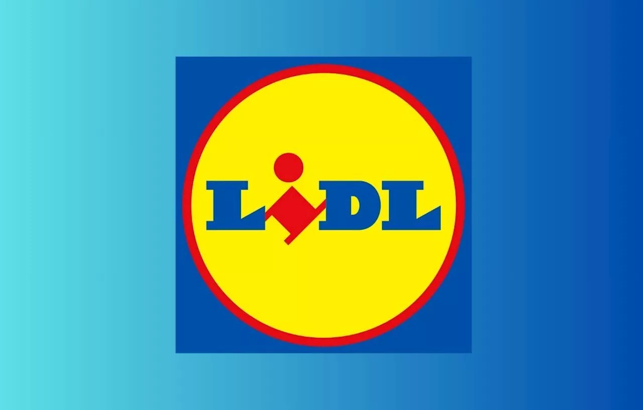 Lidl : 3 offres bricolage à ne pas surtout pas manquer pendant les soldes