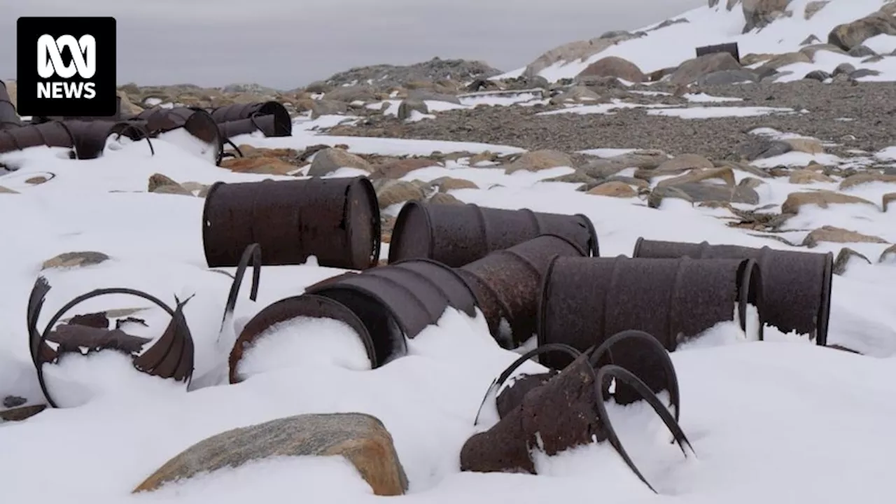 French inspection team says abandoned Wilkes Station poses 'clear risk' to Antarctic environment