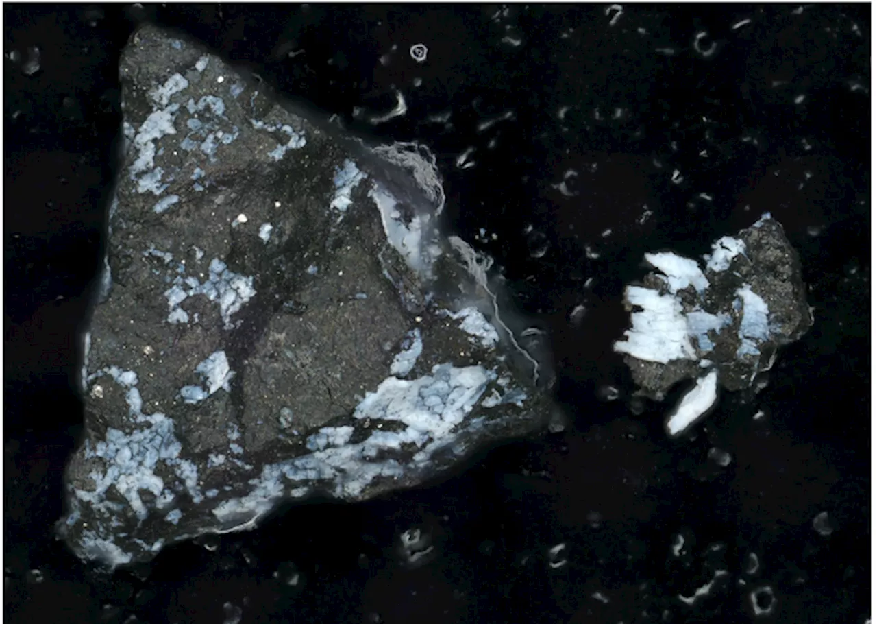 Per l'asteroide Bennu un passato ricco di acqua