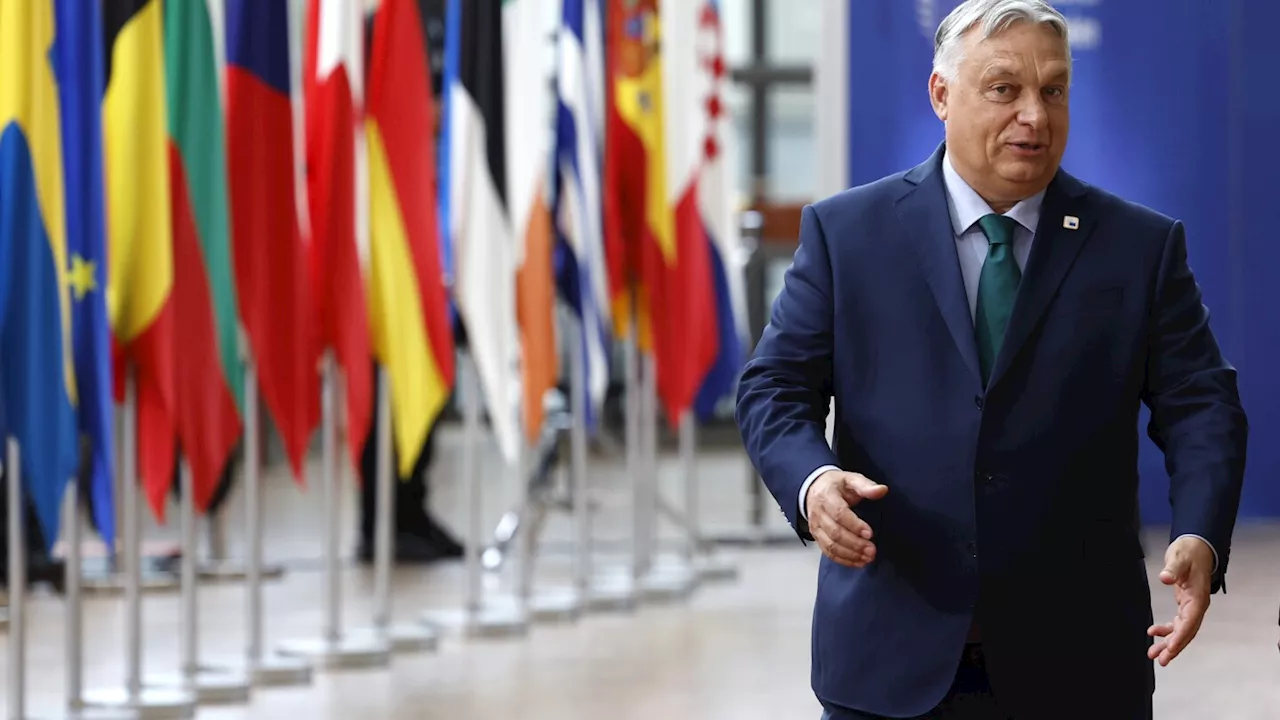 Hungary's Orbán presents a new alliance with Austrian and Czech nationalist parties