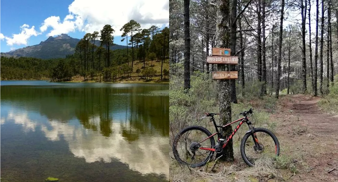 Lánzate al parque ecoturístico Valle Alegre en medio del bosque