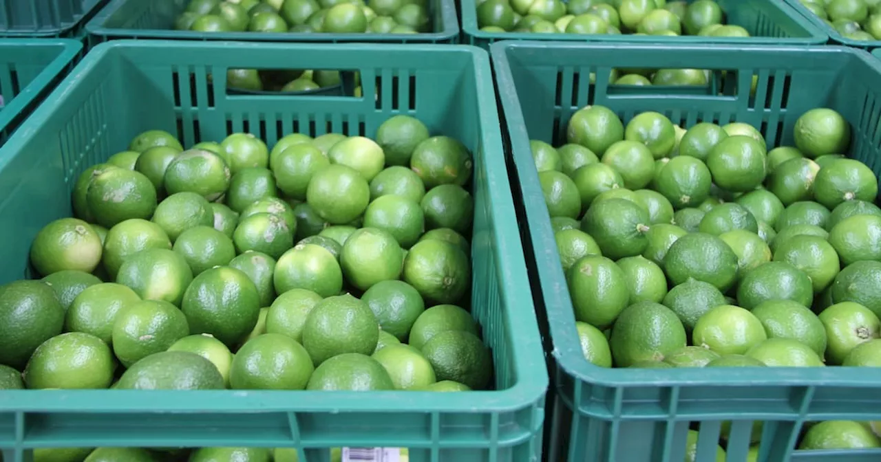 Entérese de cuáles son las 5 frutas frescas que más exporta Colombia