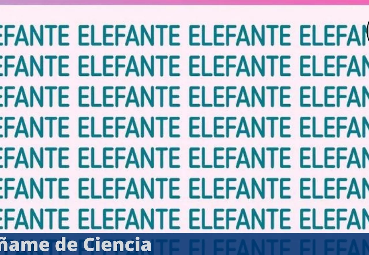 Acertijo visual FÁCIL: ¿Podrás encontrar la palabra “ELEGANTE” entre las palabras “ELEFANTE”?