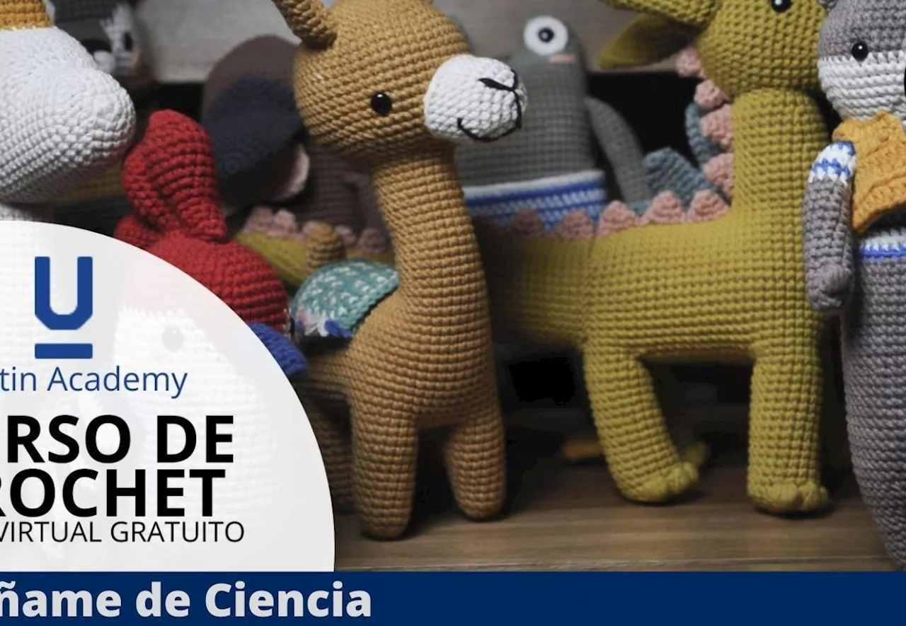 Aprende técnicas profesionales de tejido a CROCHET con este CURSO 100% GRATUITO