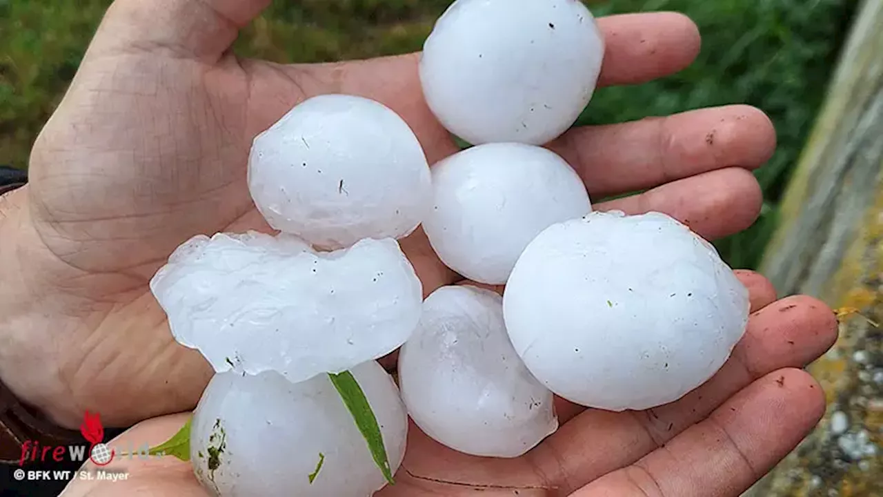 Nö: Hagel mit bis 7 cm Körner in Teilen des Bezirkes Waidhofen / Thaya am 30.6.2024 → Katastrophengebiet