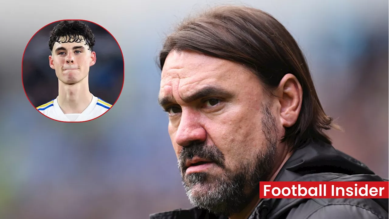 Leeds fans suggest Daniel Farke quitting the club after transfer shock