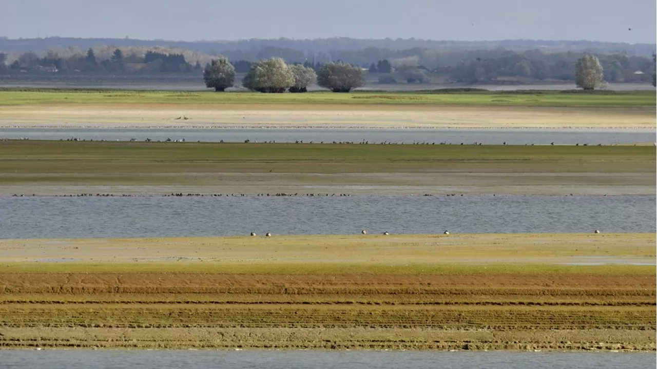 Crues : Météo-France place la Haute-Marne en alerte orange