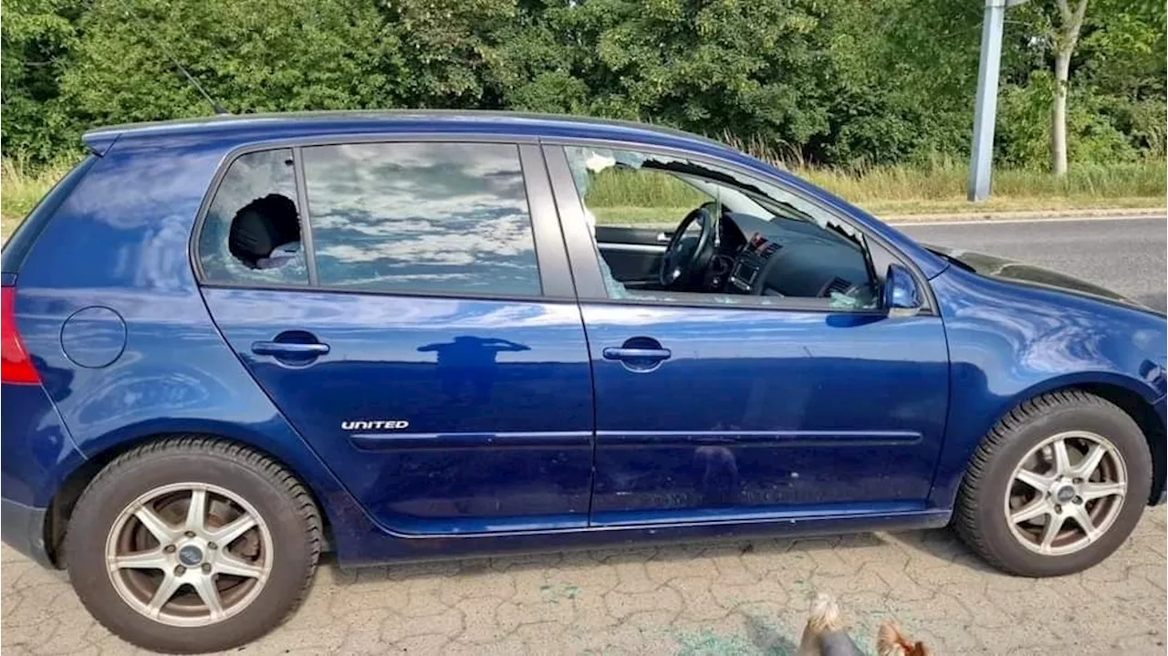 Vandalen brechen in der Seestadt dutzende Autos auf