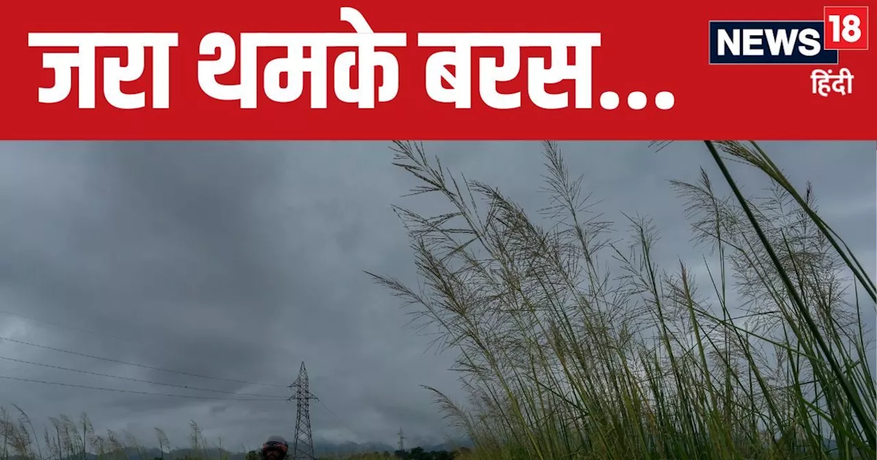 Monsoon Report: दिल्ली में बरसेंगे मेघ, झूमकर नाचेंगे मोर... राजस्थान, पंजाब में भी मूसलाधार बारिश, मौसम पर...