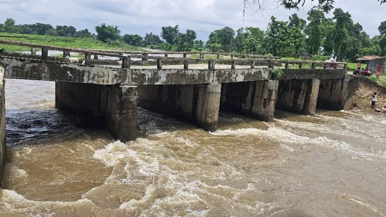 Bihar Bridge Collapse: बिहार में फिर धंसा पुल, इस जिले के हजारों लोग प्रभावित; मुश्किल में जिंदगी