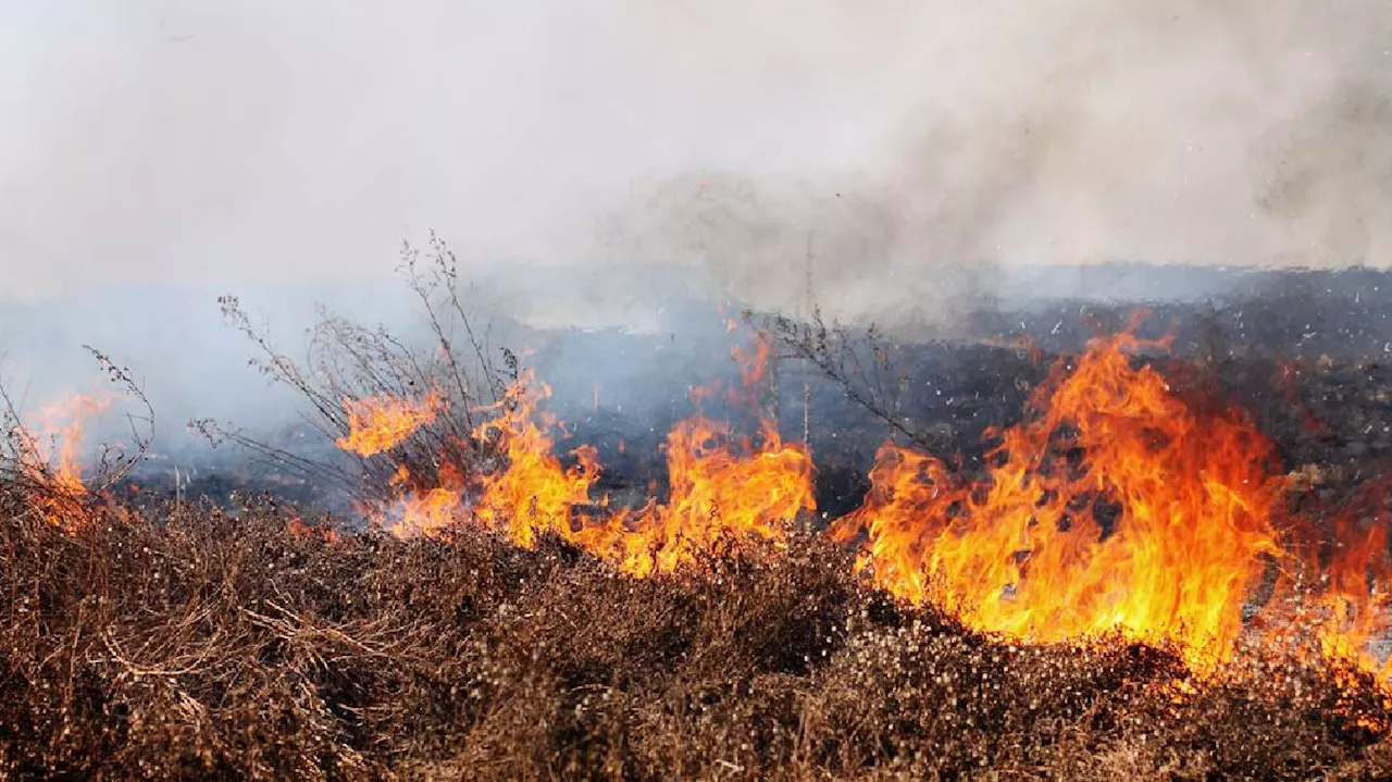 Red flag fire warning issued for southwest Utah