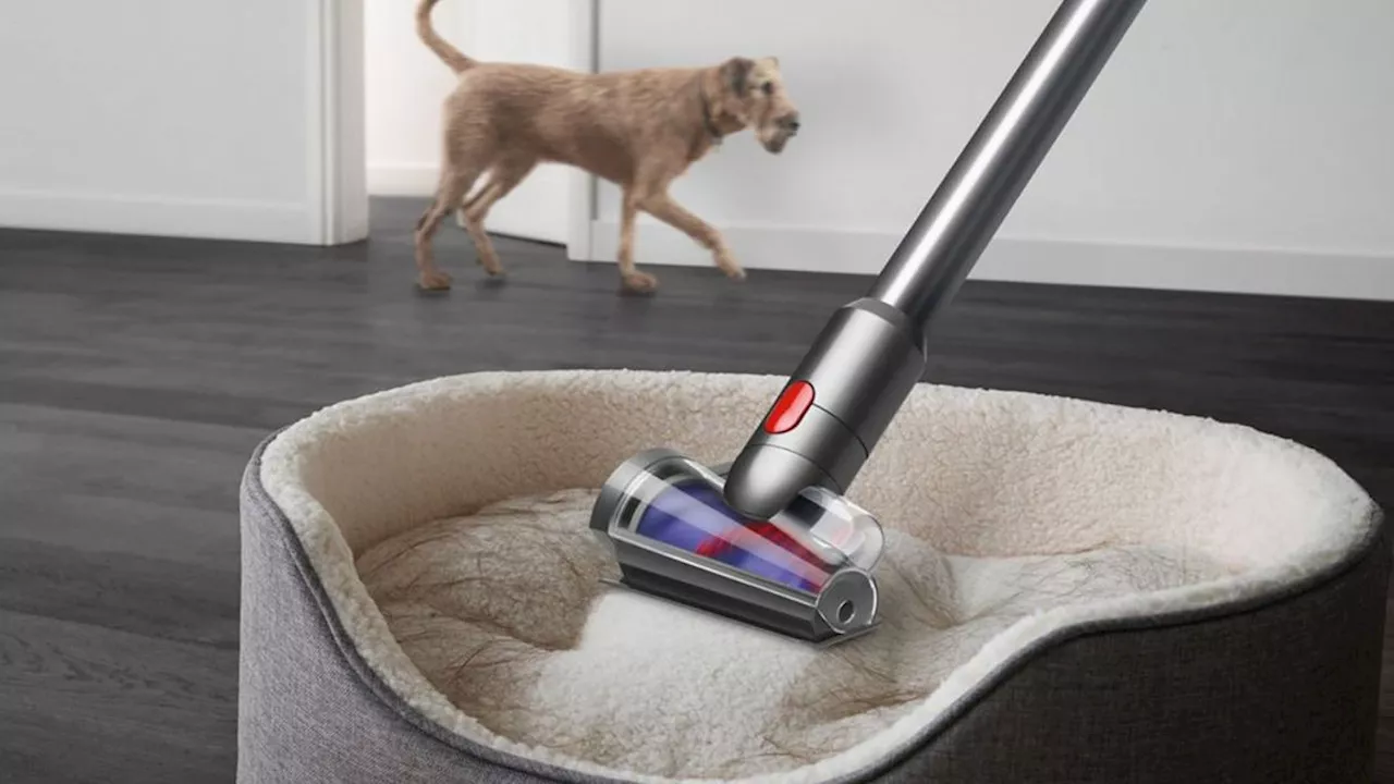 Pendant les soldes, Dyson fait chuter le prix de l’aspirateur V15 Detect™ Absolute de 200 euros