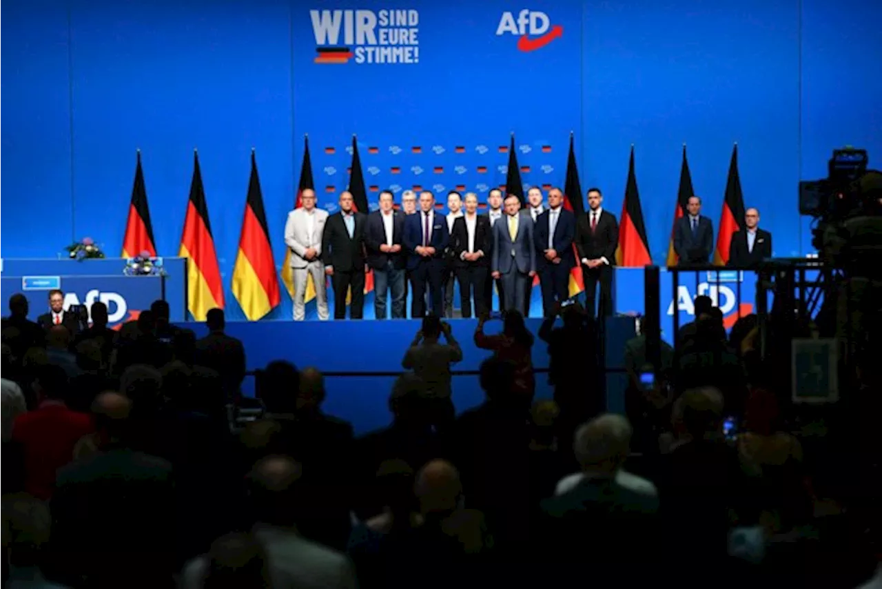 Duitse extreemrechtse AfD stapt uit EU-fractie