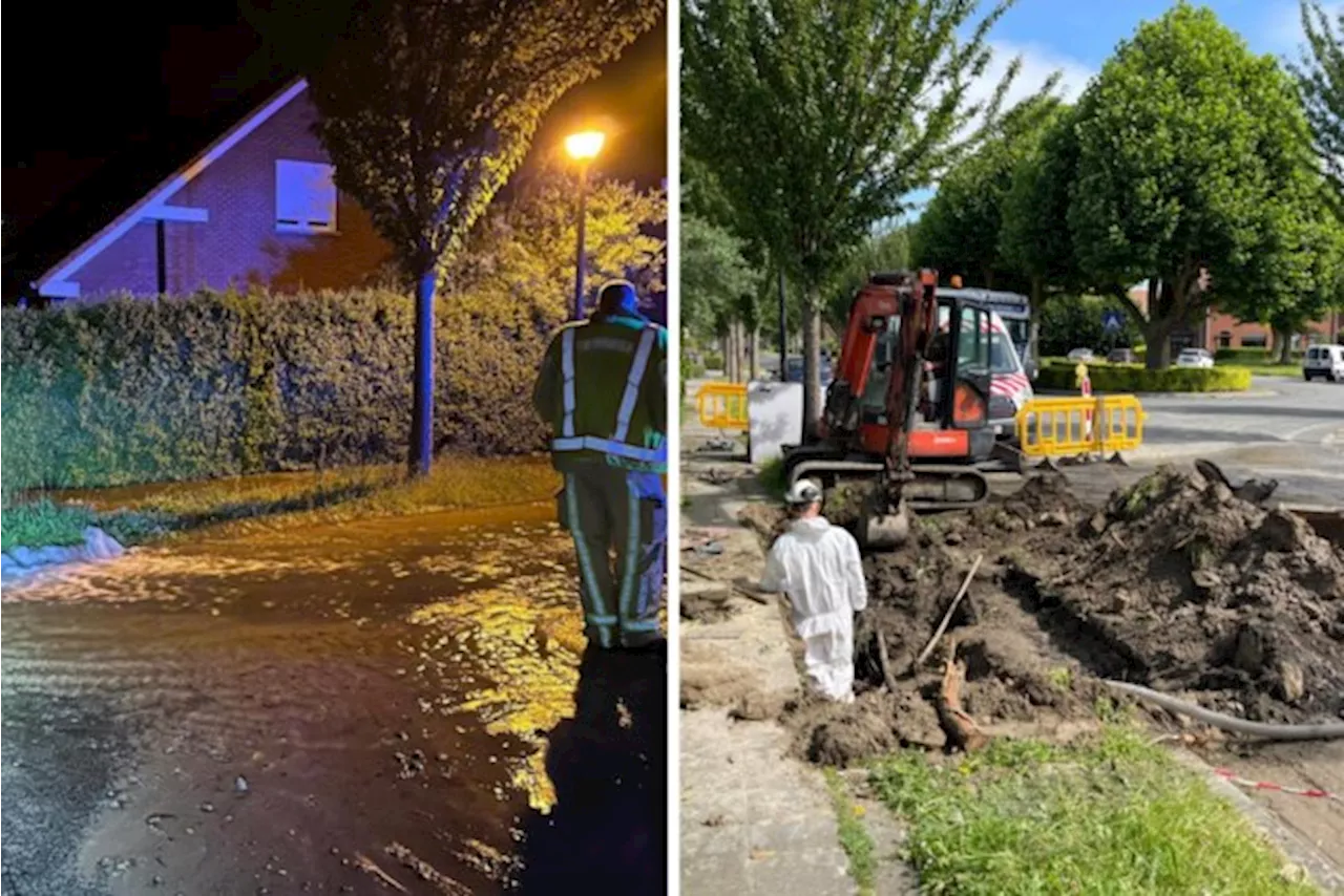 Straat loopt ’s nachts onder door lek: huizen zonder water, brandweer moet boom verwijderen