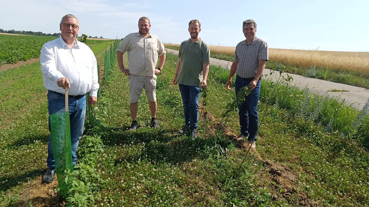 Renaturierung im Bezirk: „Unsere Landwirte sind eh naturnah“