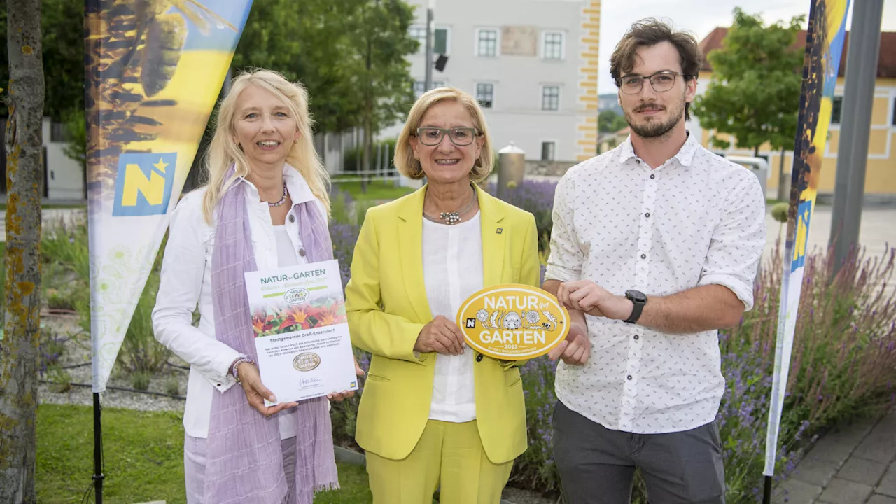 Stadtgemeinde Groß-Enzersdorf erhielt den „Goldenen Igel“