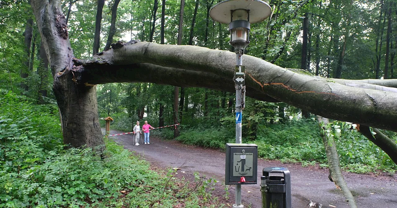 Unwetter über Bad Oeynhausen hält Feuerwehr in Atem