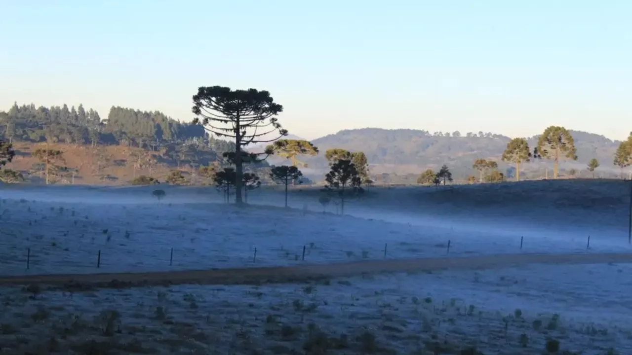 Cidades do Sul registram temperaturas negativas neste domingo