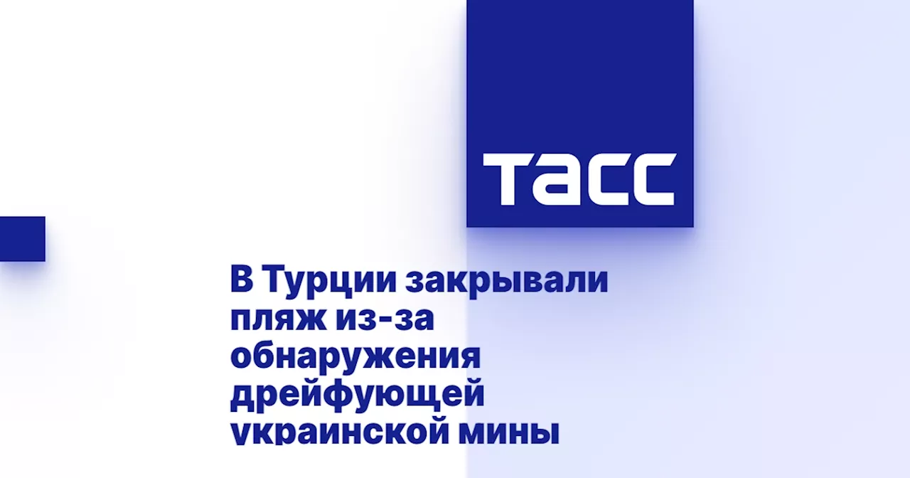 В Турции закрывали пляж из-за обнаружения дрейфующей украинской мины