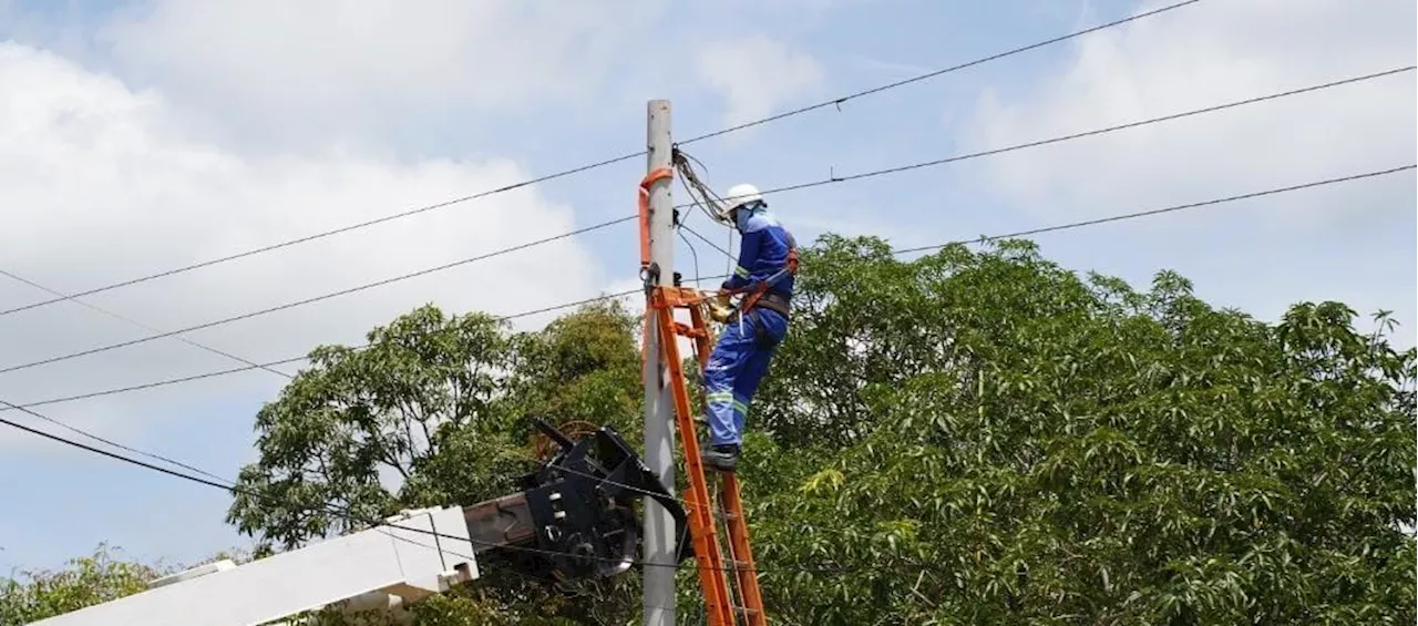 Sectores de Altos del Limón y Altos de Riomar estarán sin energía este domingo